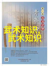 青奥会与武术文化的融合于对青奥会理念及中华武术理念的分析-李丹 张小峰 崔明艳