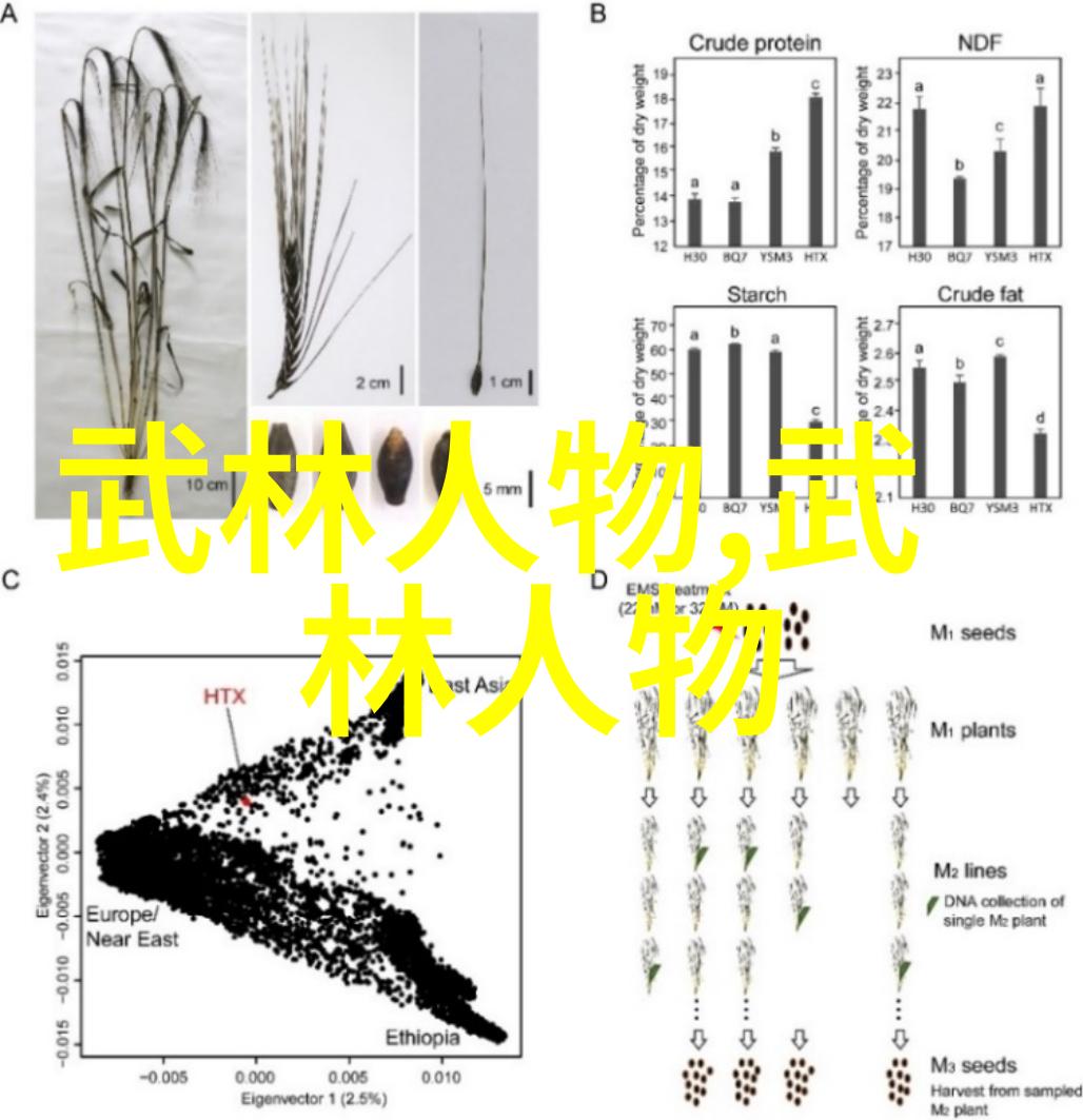 苗刀大师张群炎先生实照赏